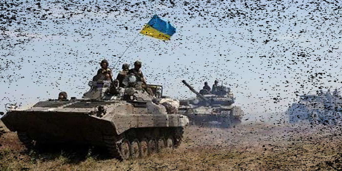 Сектор "Д" 20 июля 2014 г.